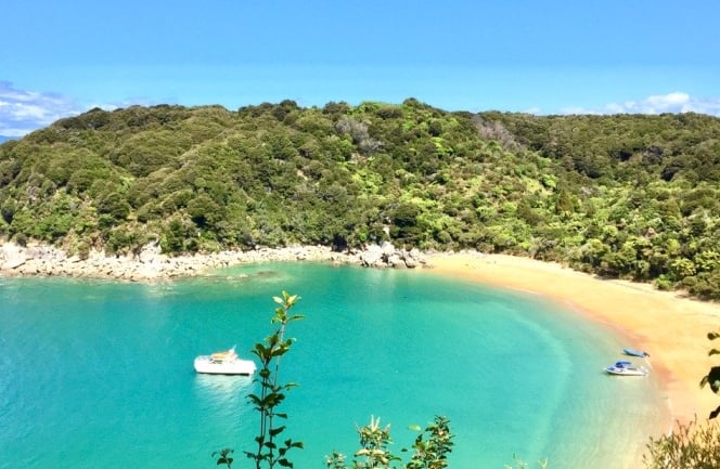 abel tasman national park top five tourist attractions in New Zealand
