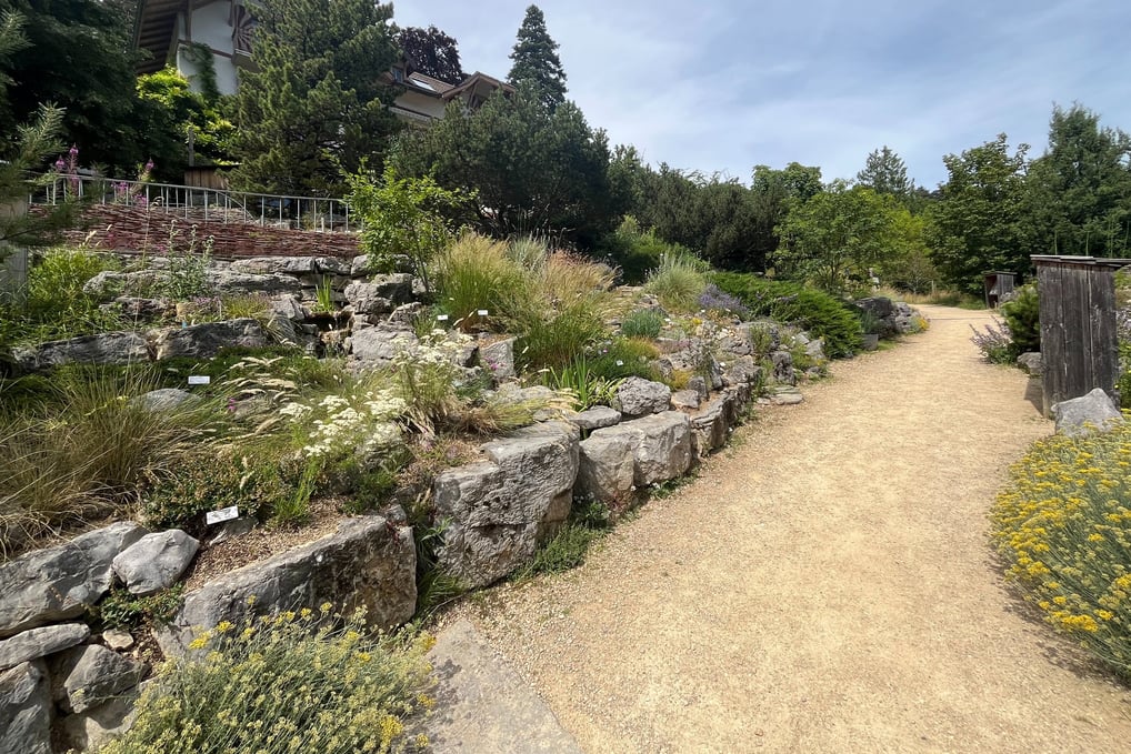 Botanical gardens in Neuchâtel Switzerland