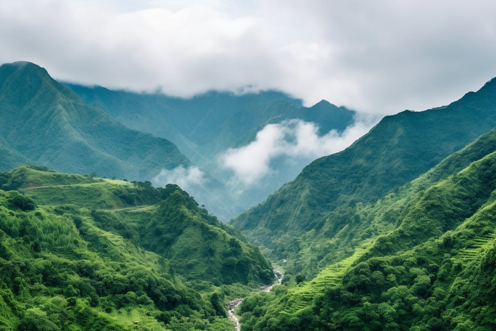 Imagine yourself standing at the base of Yushan, the highest peak in Taiwan, surrounded by a sea of 