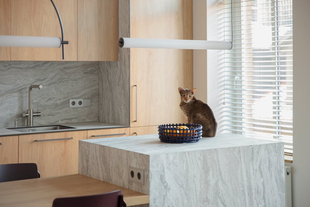 Virtuvės projektas Užupyje