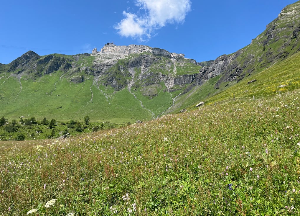 Looking up at Birg on the Schilthornbahn