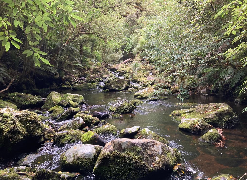 Ruisseau Southland