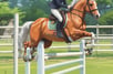 a woman riding a horse in a field