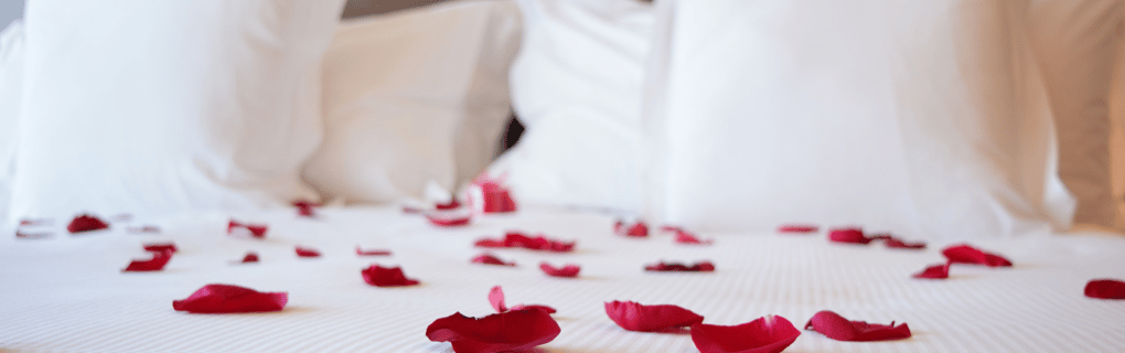pétales de rose sur un lit