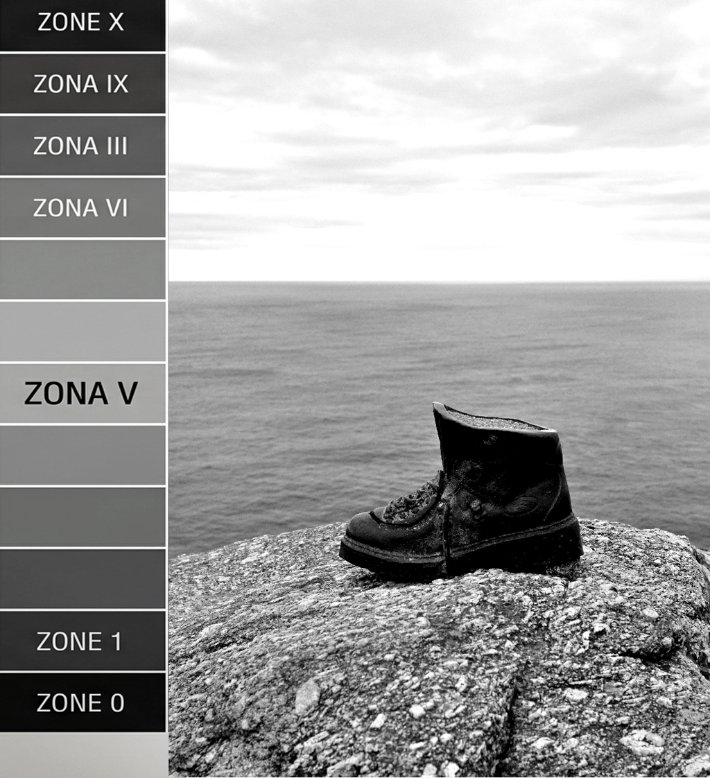 © Doctor Z | Miquel Angel Riquelme Nuñez