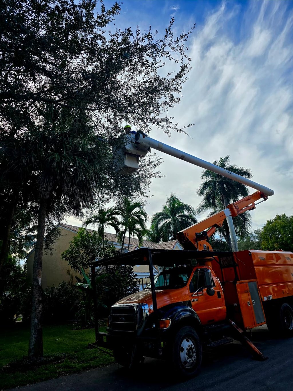 Professional arborist in a bucket truck pruning high tree branches for residential tree service.