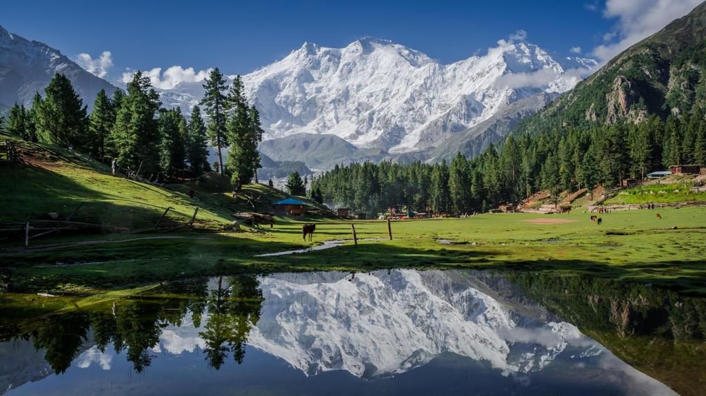Fairy Meadows