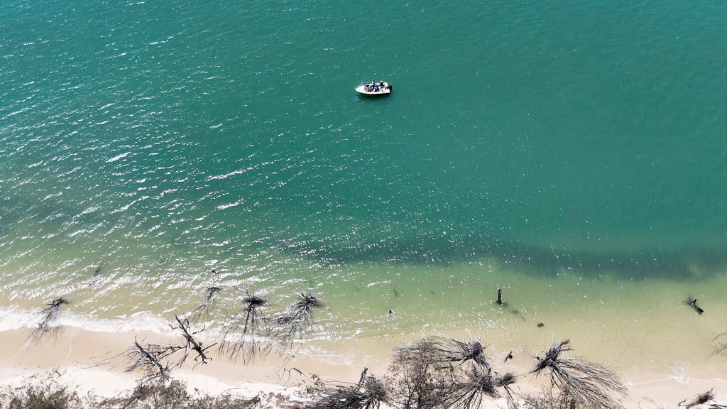 Aerial view of a small boat on turquoise tropical water near a sandy beach with driftwood.