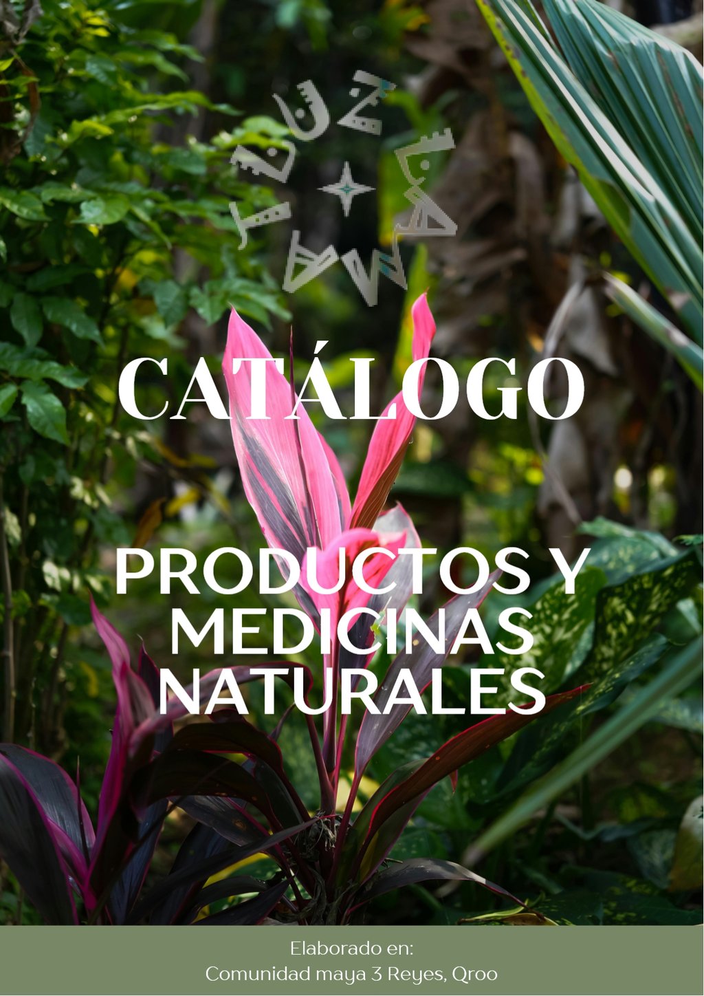 Catalogo productos y medicinas naturales eventos luz portada