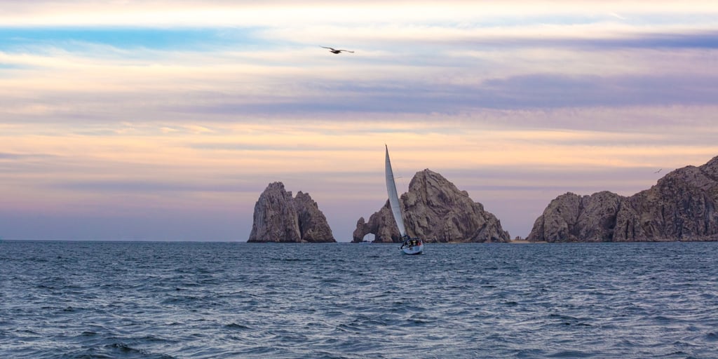 CABO DREAMS