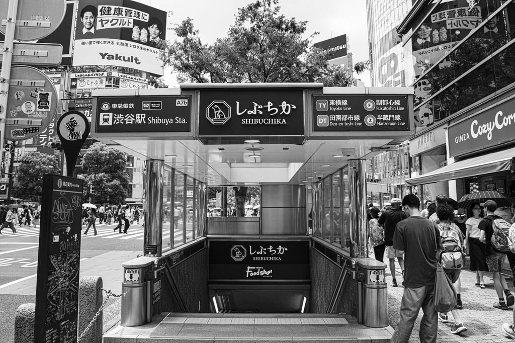 SHIBUYA STATION