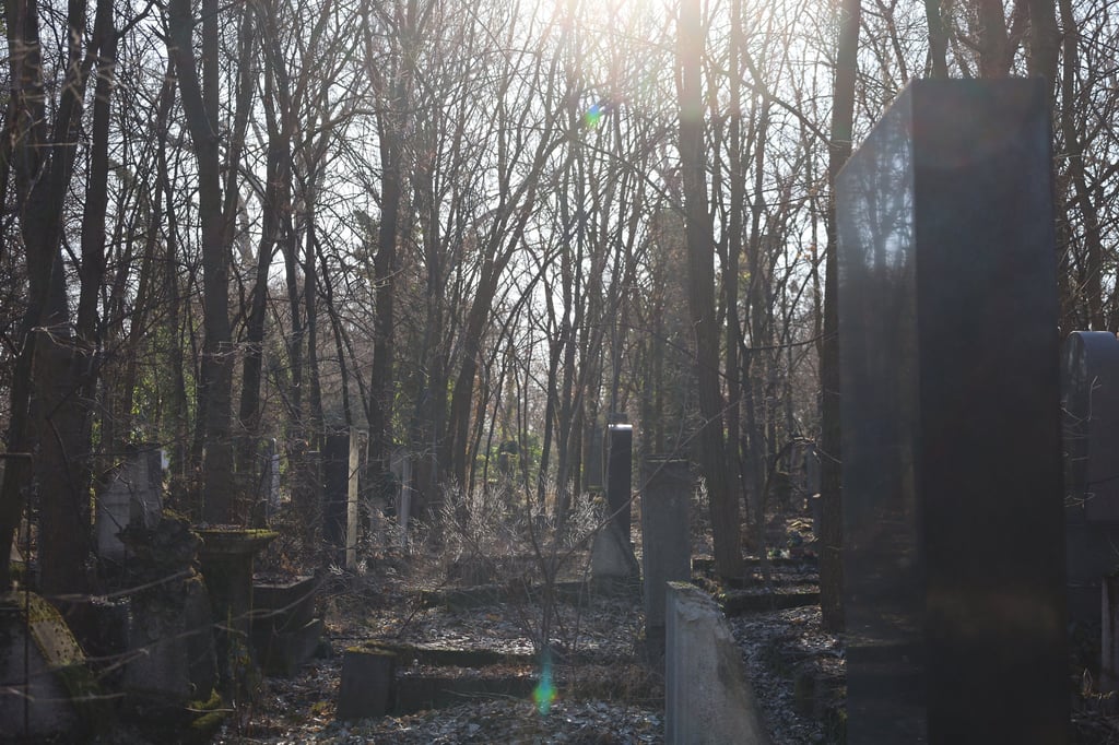 Kozma u Jewish cemetery, Budapest, Hungary