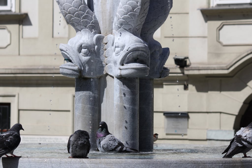 Fish and birds (fountain and pigeons) in Ljubljana, Slovenia
