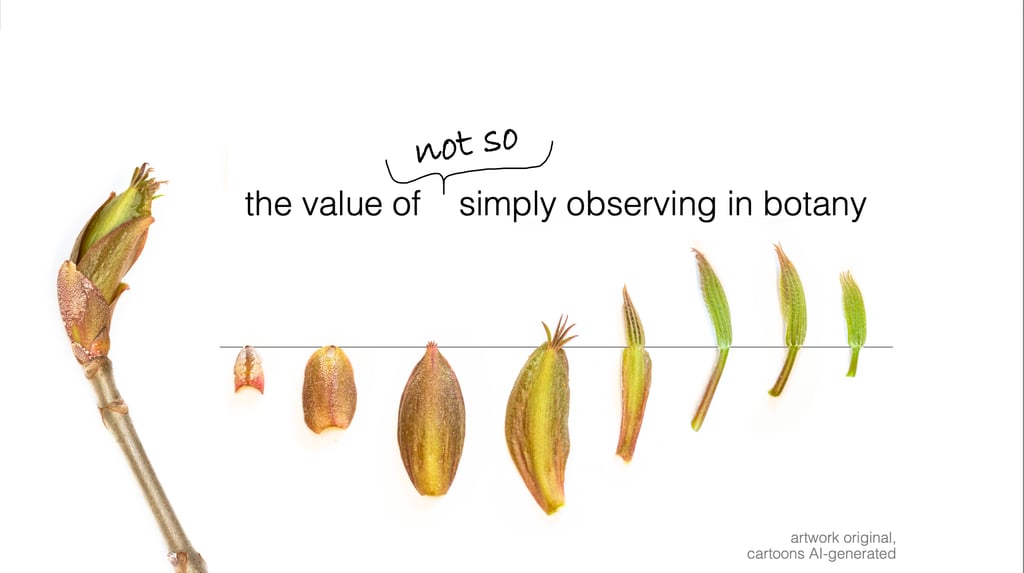 Presentation title slide