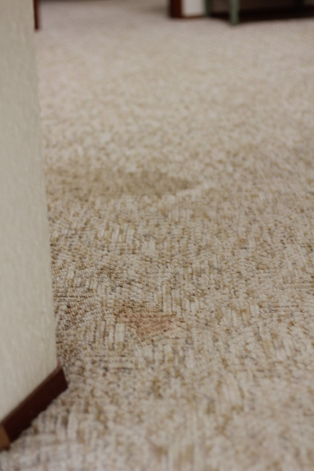 brown and tan carpet with stains
