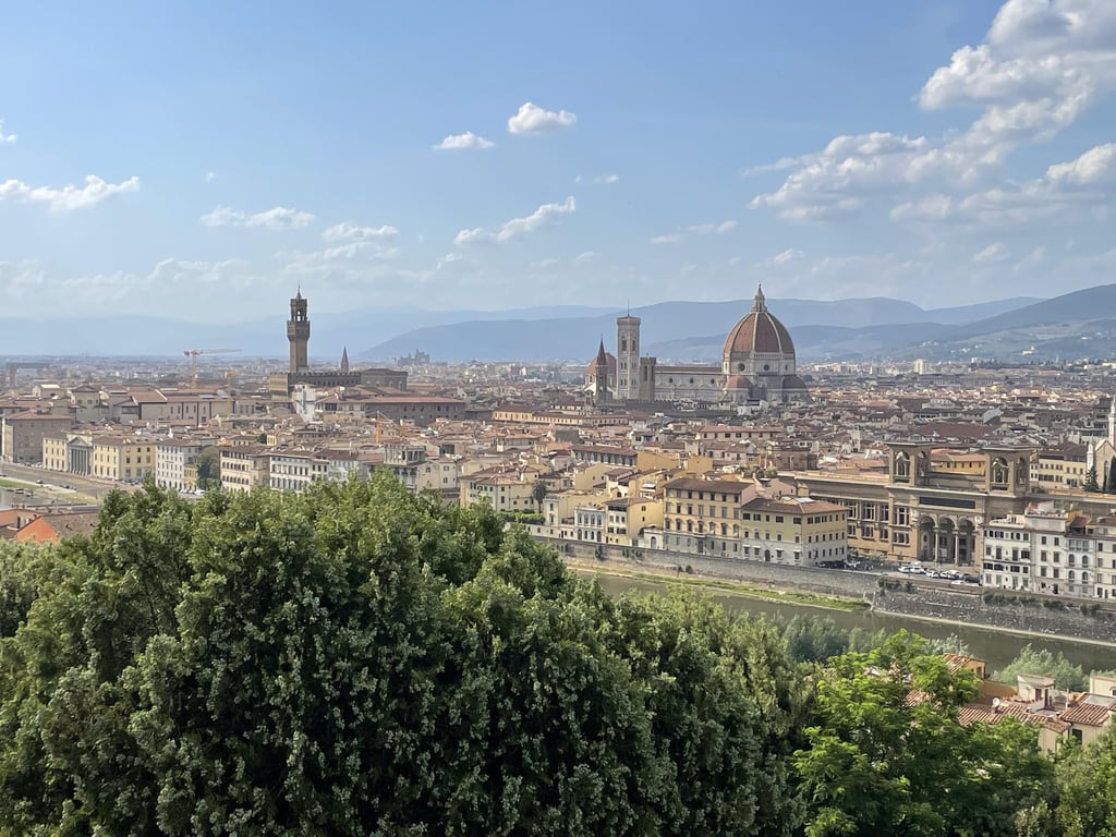 Panoramablick auf die Skyline von Florenz, Italien, mit dem Dom und dem Palazzo Vecchio
