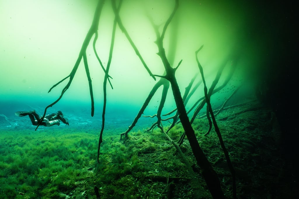 cenote underwater photography example
