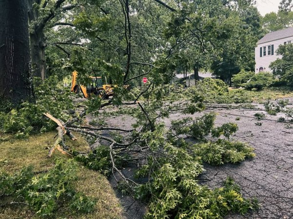 Fallen tree branches blocking a residential street after a storm with a tractor clearing debris.