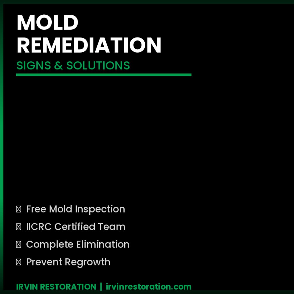 mold remediation signs and solutions DFW homeowners - Irvin Restoration mold removal Irving TX