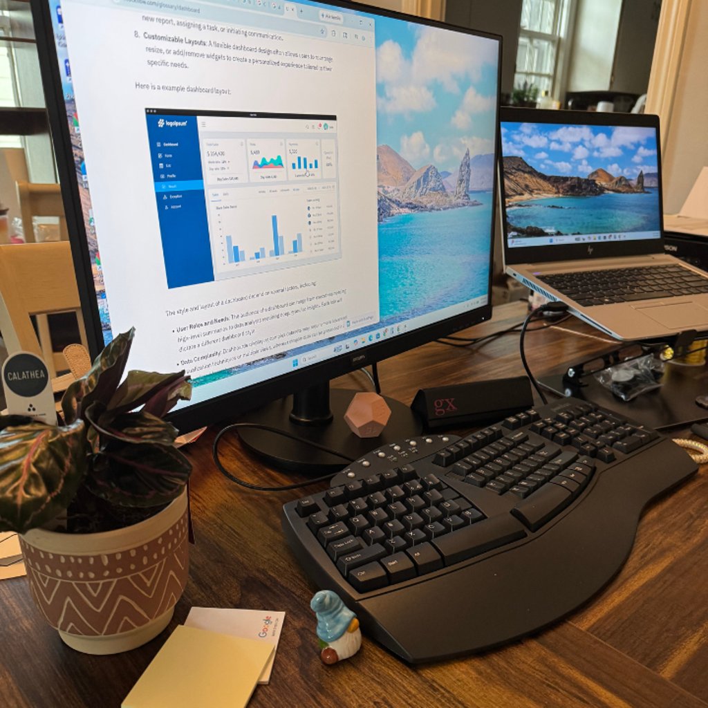 Shows home office setup with large monitor, laptop, keyboard, and small live plant
