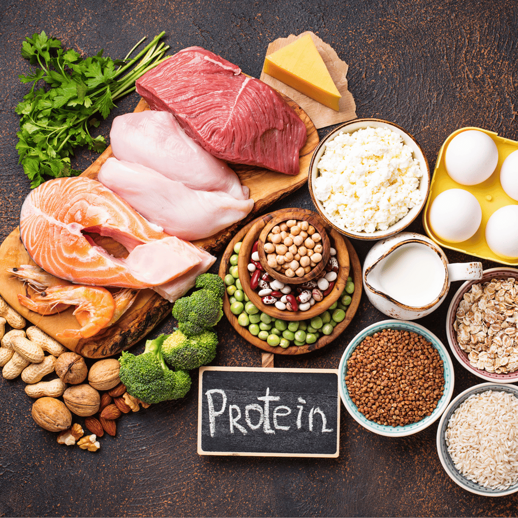 protein rich food