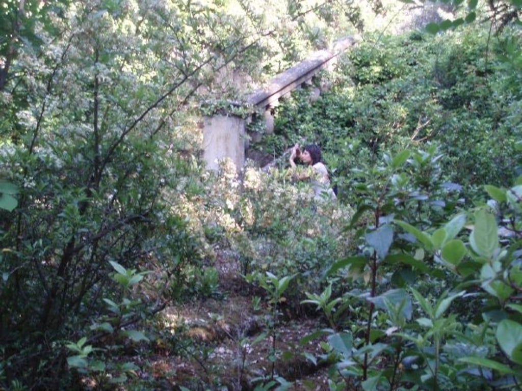 Erica Fossati documenting overgrown historic property ruins at Villa Salviati Fiesole