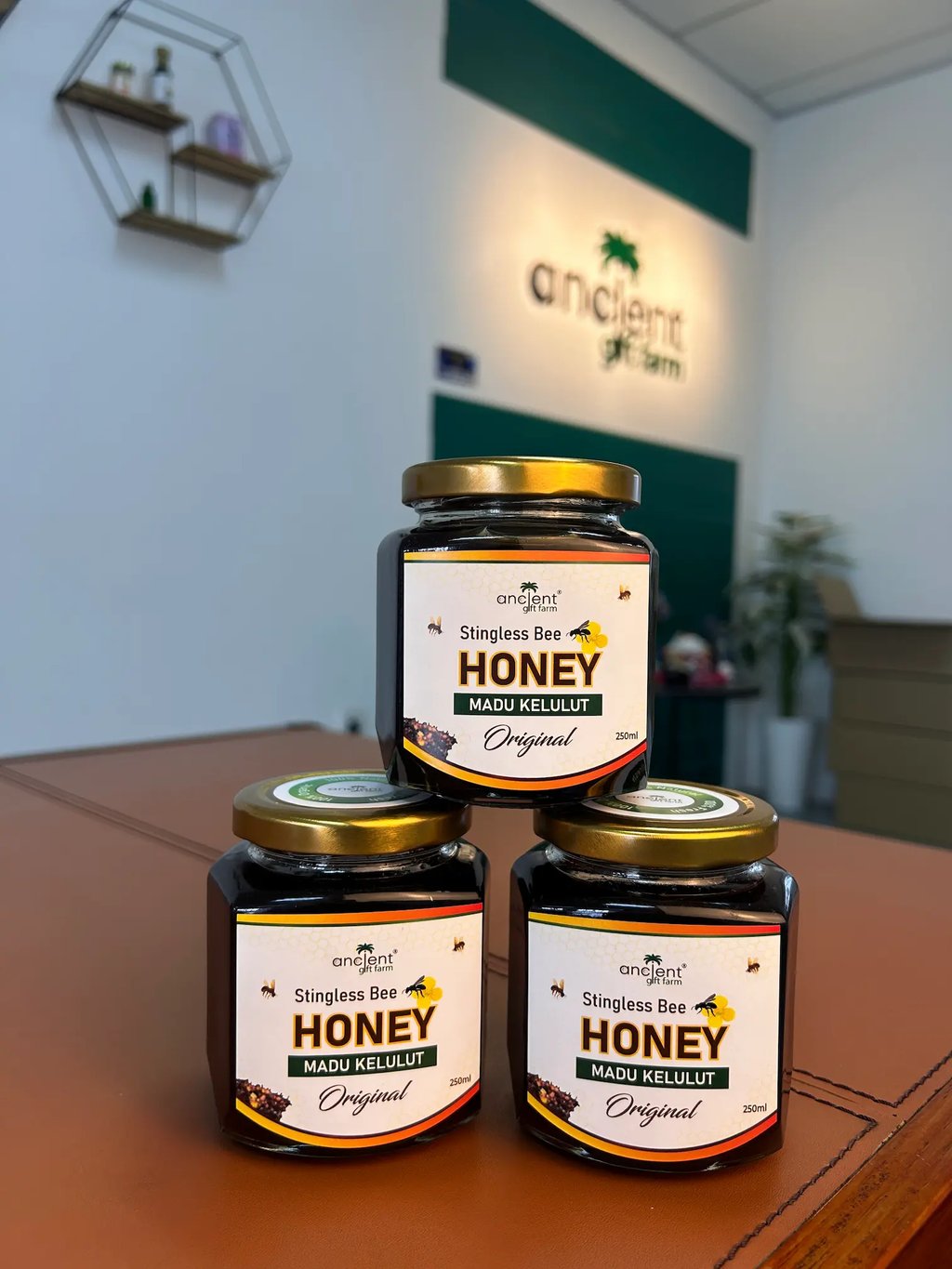 stingless bee honey ancient gift farm