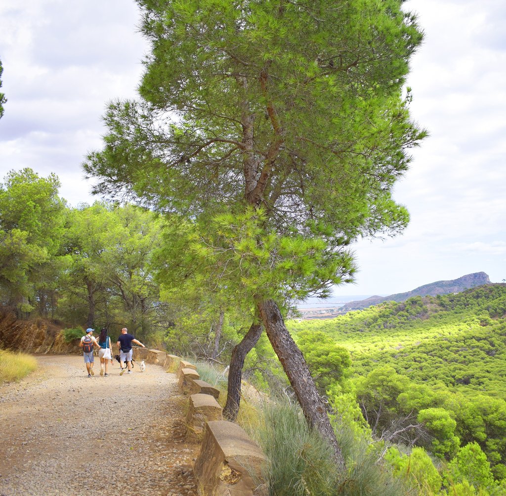 sendero subida monte de las cenizas calblanque murcia