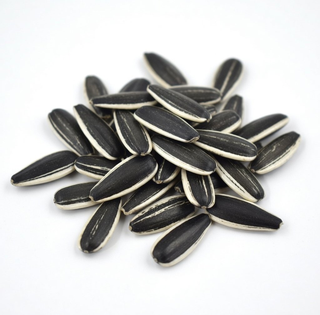 A small pile of striped black and white sunflower seeds in their shells on a plain white background.