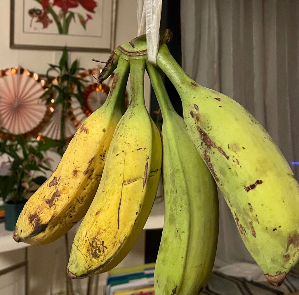 a bunch of bananas