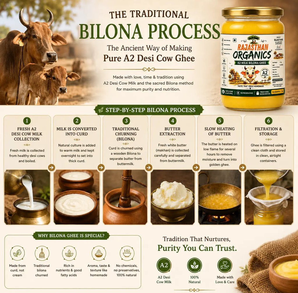 Infographic showing the traditional Bilona process for making pure A2 Desi cow ghee from milk to storage.