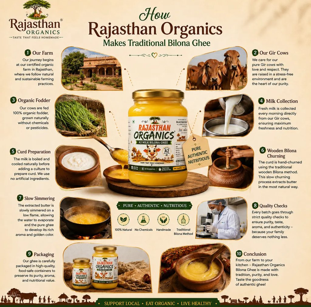 Infographic showing the traditional Bilona method for making Rajasthan Organics A2 Gir cow ghee from farm to jar.