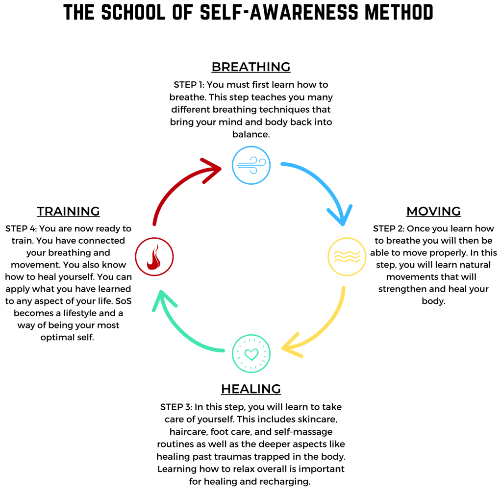 An informational graphic to explain the School of Self-Awareness method