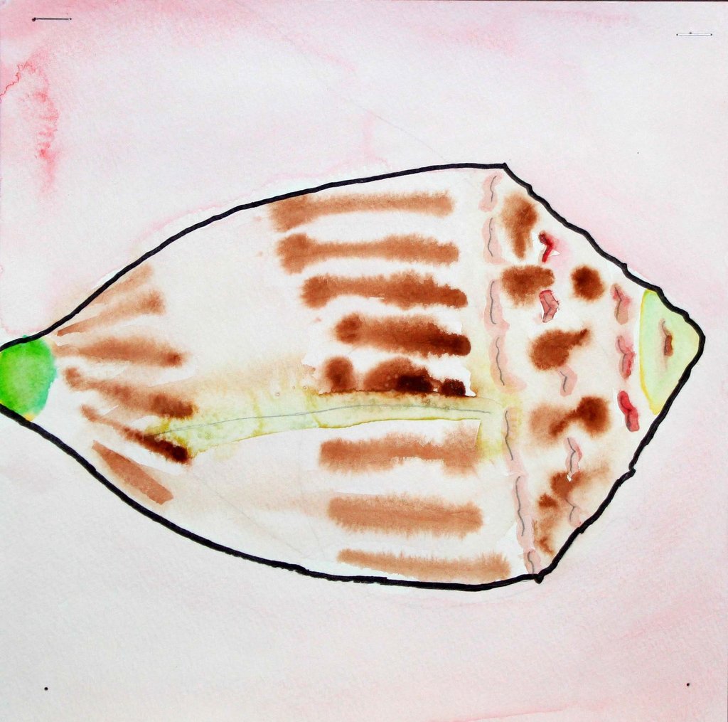 watercolor painting of a sea shell