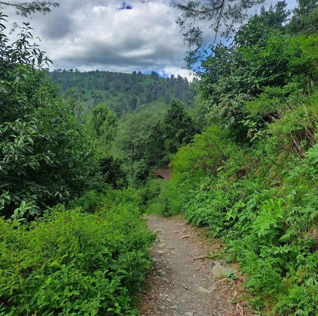 Miranjani track 