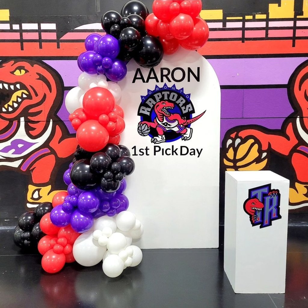 Toronto raptors inspired balloon backdrop