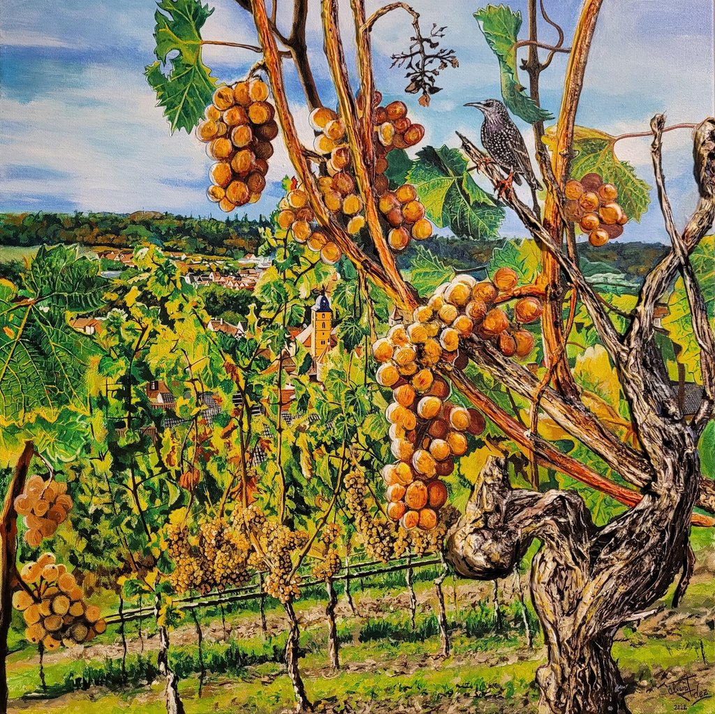 Álvaro Fernández Sáez Herbst in Sommerhausen Weinrebe Trauben