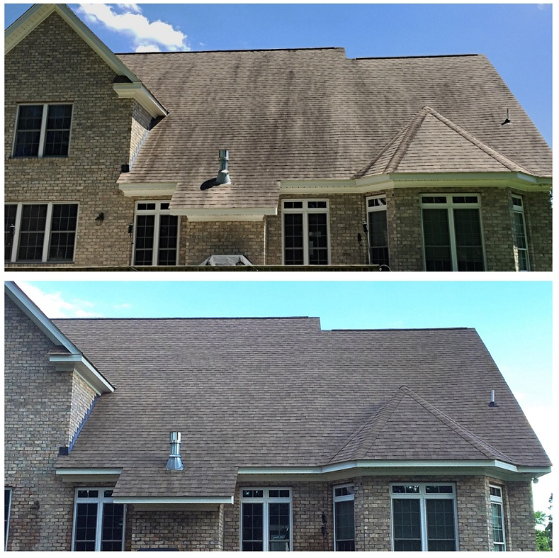 Before and after cleaning of an asphalt shingle roof