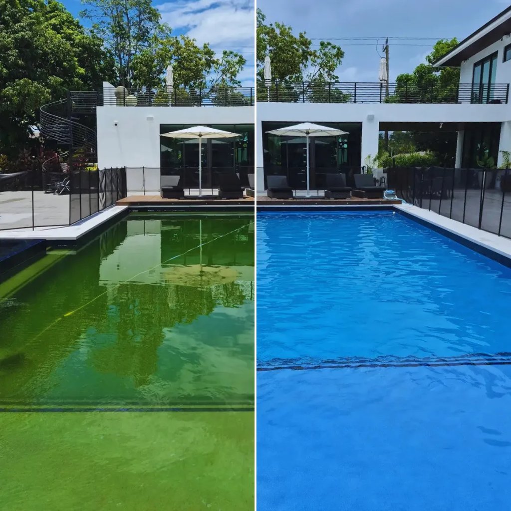Before and after professional pool cleaning showing green algae water transformed to crystal clear blue.