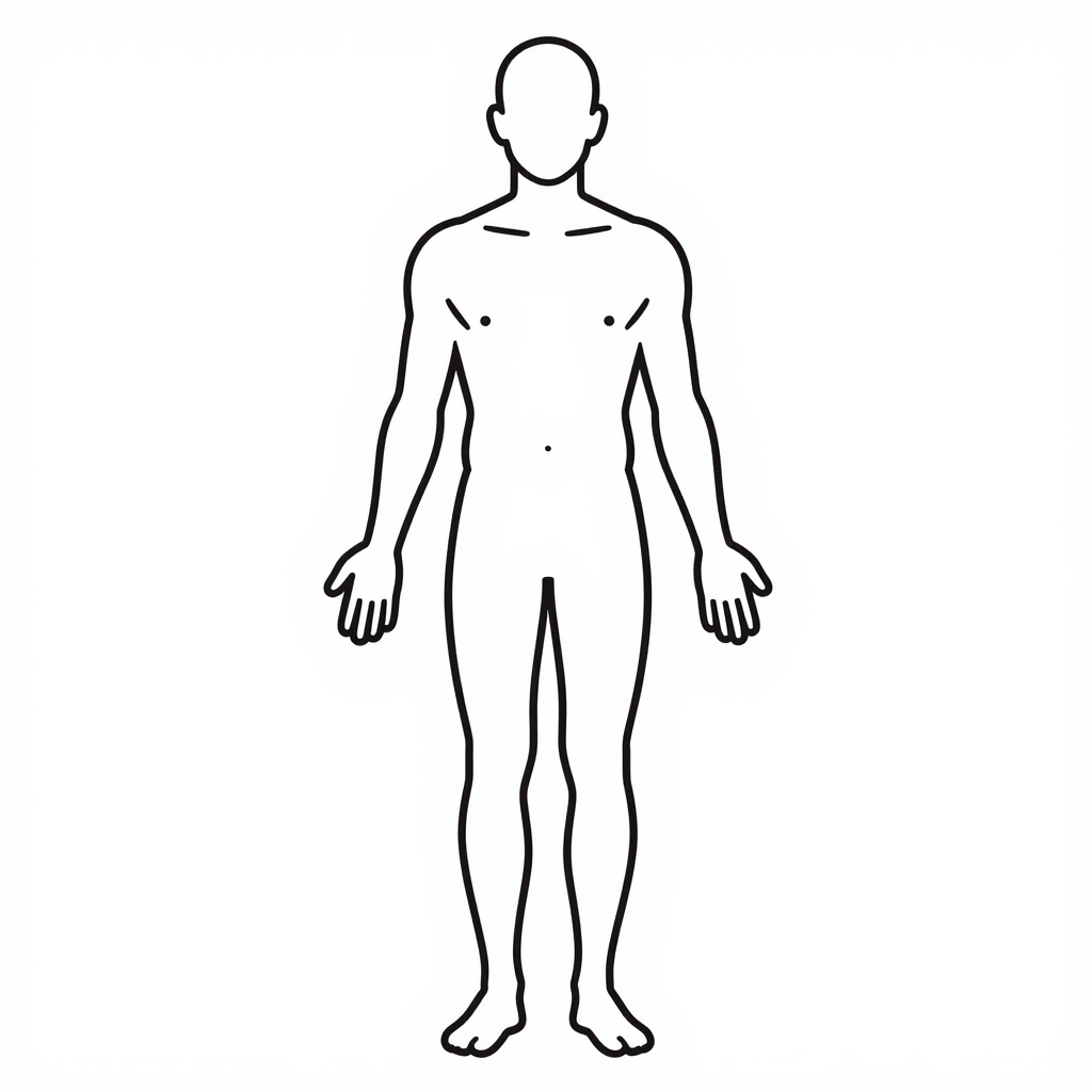 Schema corps humain