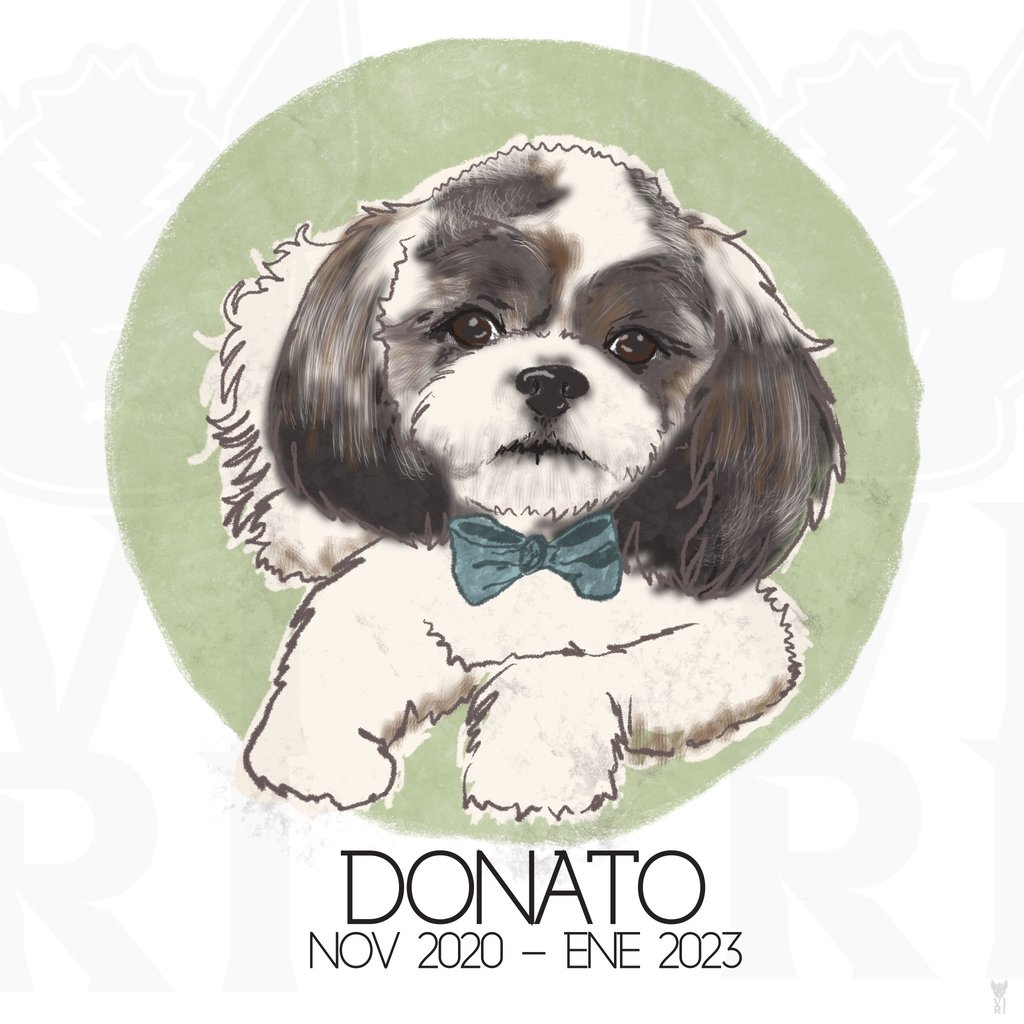 Digital memorial illustration of a black and white Shih Tzu dog wearing a teal bow tie.