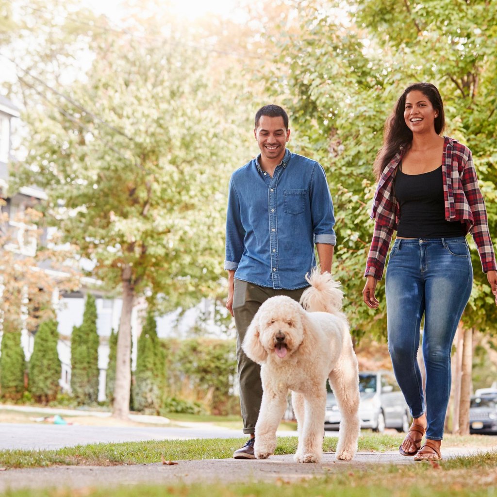 A couple walking outside with their dog feeling relaxed and at ease.