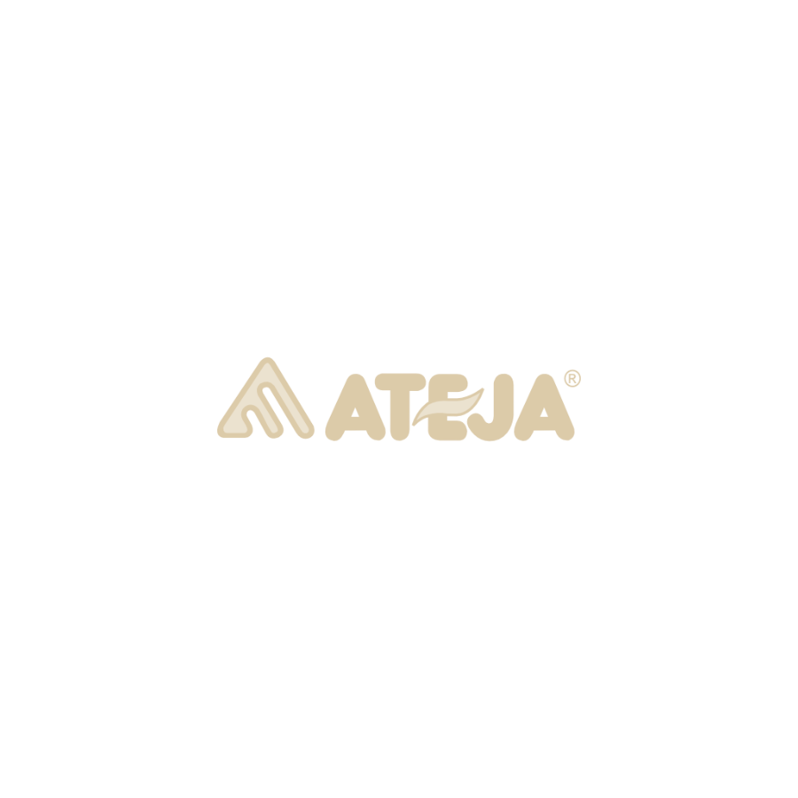 Ateja Logo