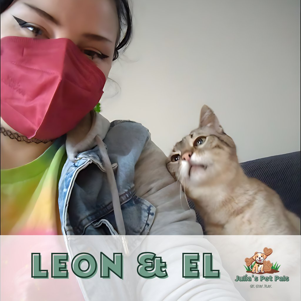 Julia's Pet Pal El with tabby cat leon during a pet sit in Massachusetts