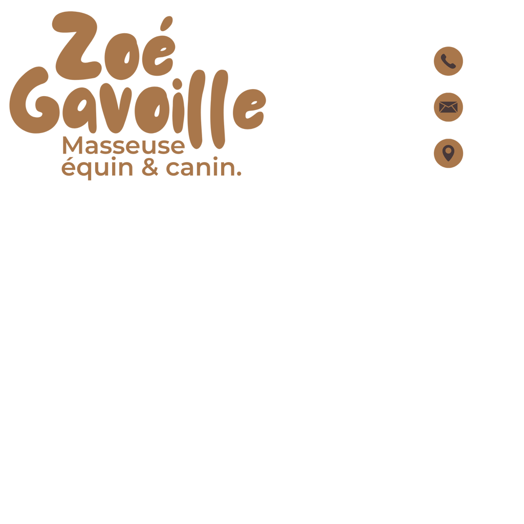 Masseuse équin et canin Zoé Gavoille