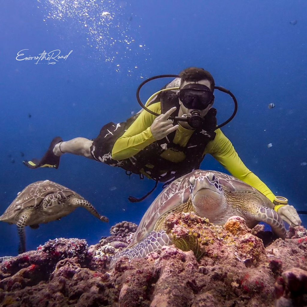 An incredible encounter with a green sea turtle while scuba diving with Gili Scuba Diving in Gili Trawangan.