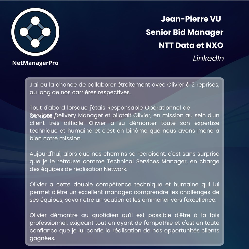 management d'équipe, LAN, WAN, WLAN, Wi-Fi, gestion de projet IT chez NTT Data.