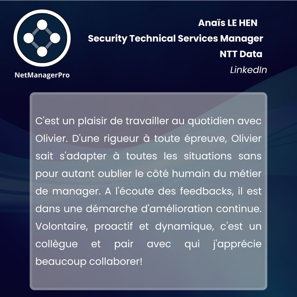 audit réseau, sécurité IT, infrastructures IT, leadership en IT, gestion d'équipe NTT