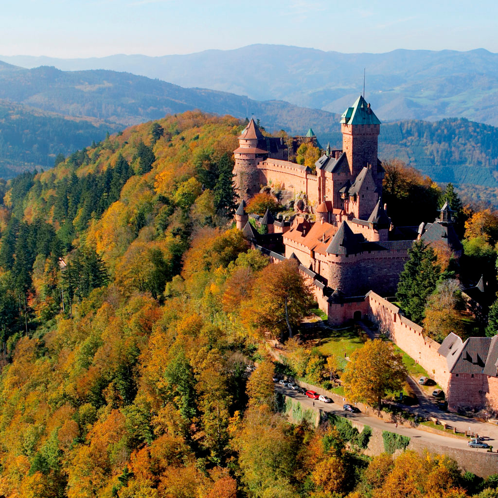 Castle in Alsace surrounded by forests