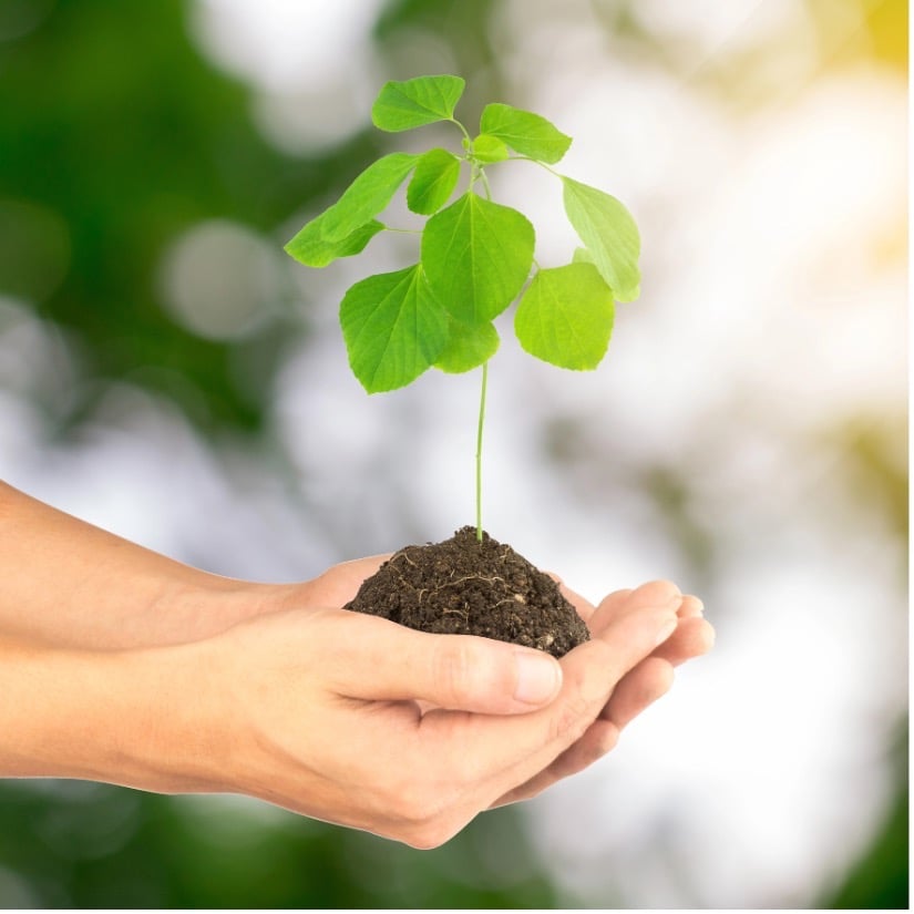 Touch and the 4 elements